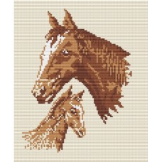 Equus rug kit